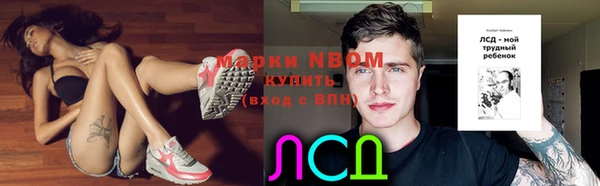 ГАЛЛЮЦИНОГЕННЫЕ ГРИБЫ Елизово