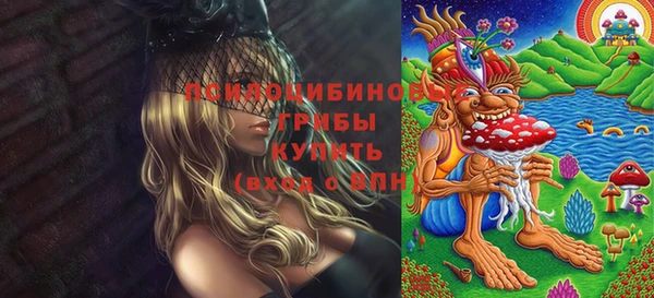 ГАЛЛЮЦИНОГЕННЫЕ ГРИБЫ Елизово