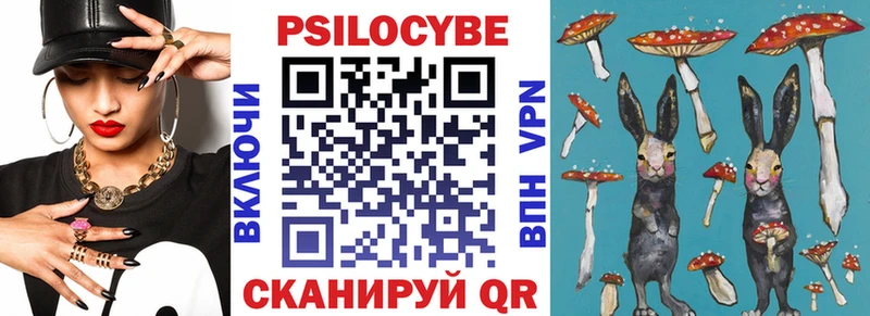 Купить где  Тулун  Галлюциногенные грибы Psilocybe 